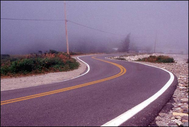 Ffogy-road-in-acadia